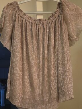 Express Metallic Taupe Off-Shoulder Blouse